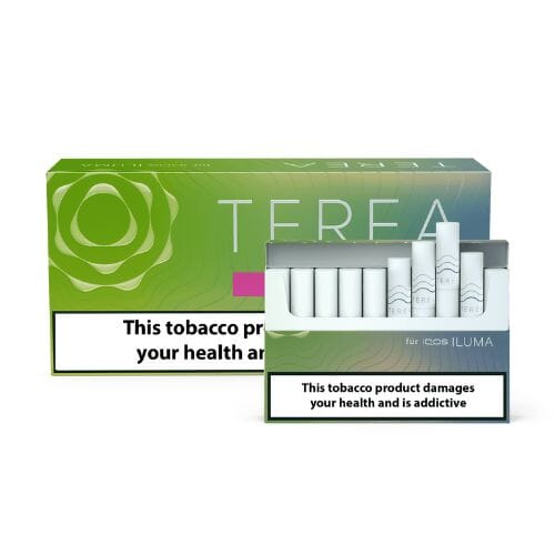 terea bright wave